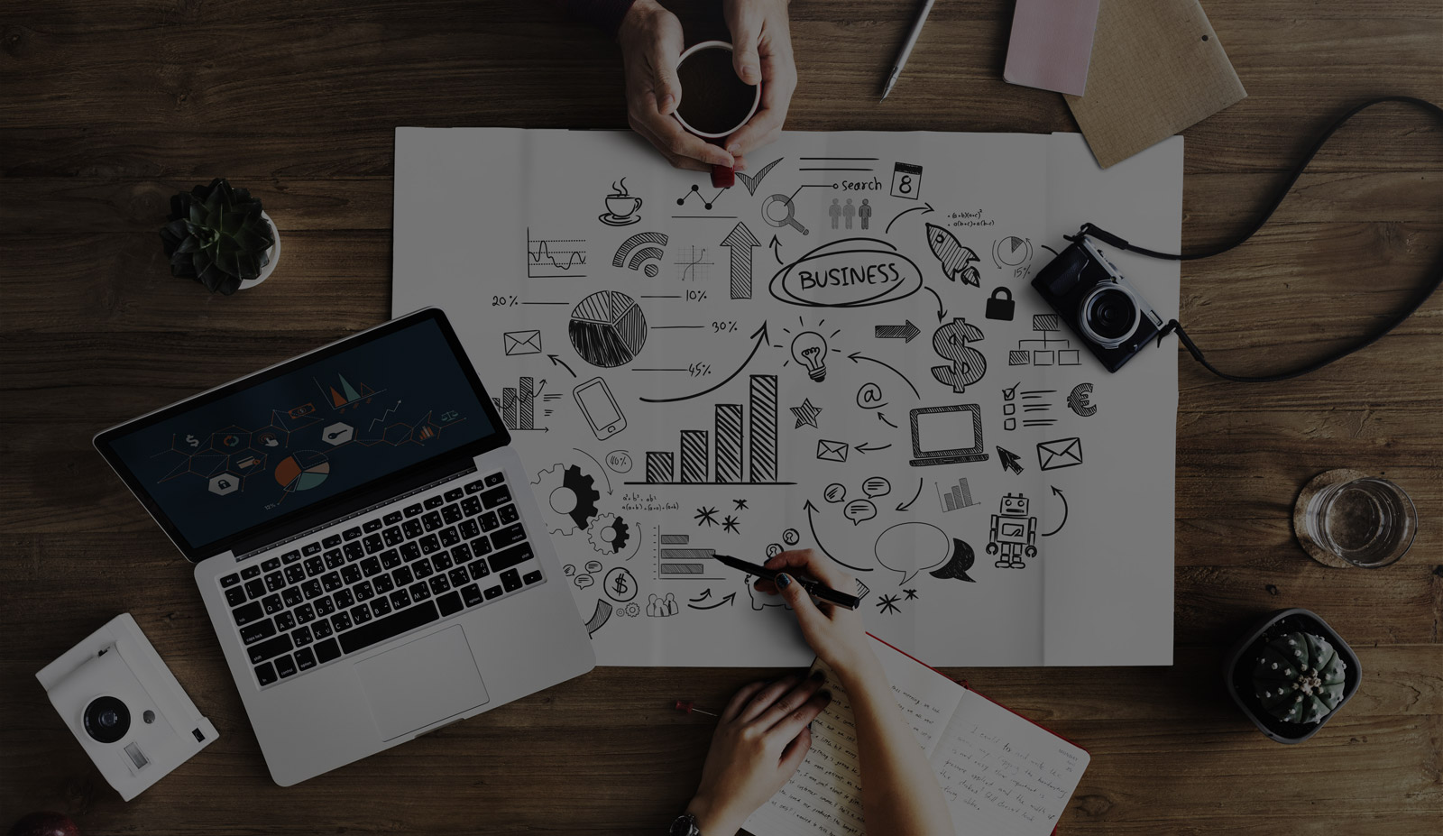 Web Designer
